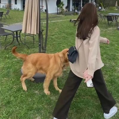 迷宫中的人