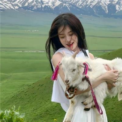 惠美李艺彩派